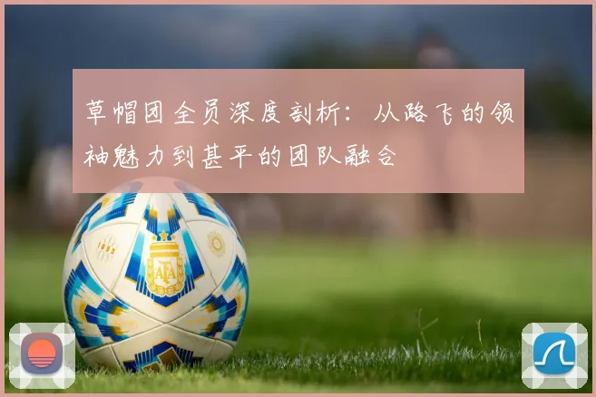 草帽团全员深度剖析：从路飞的领袖魅力到甚平的团队融合